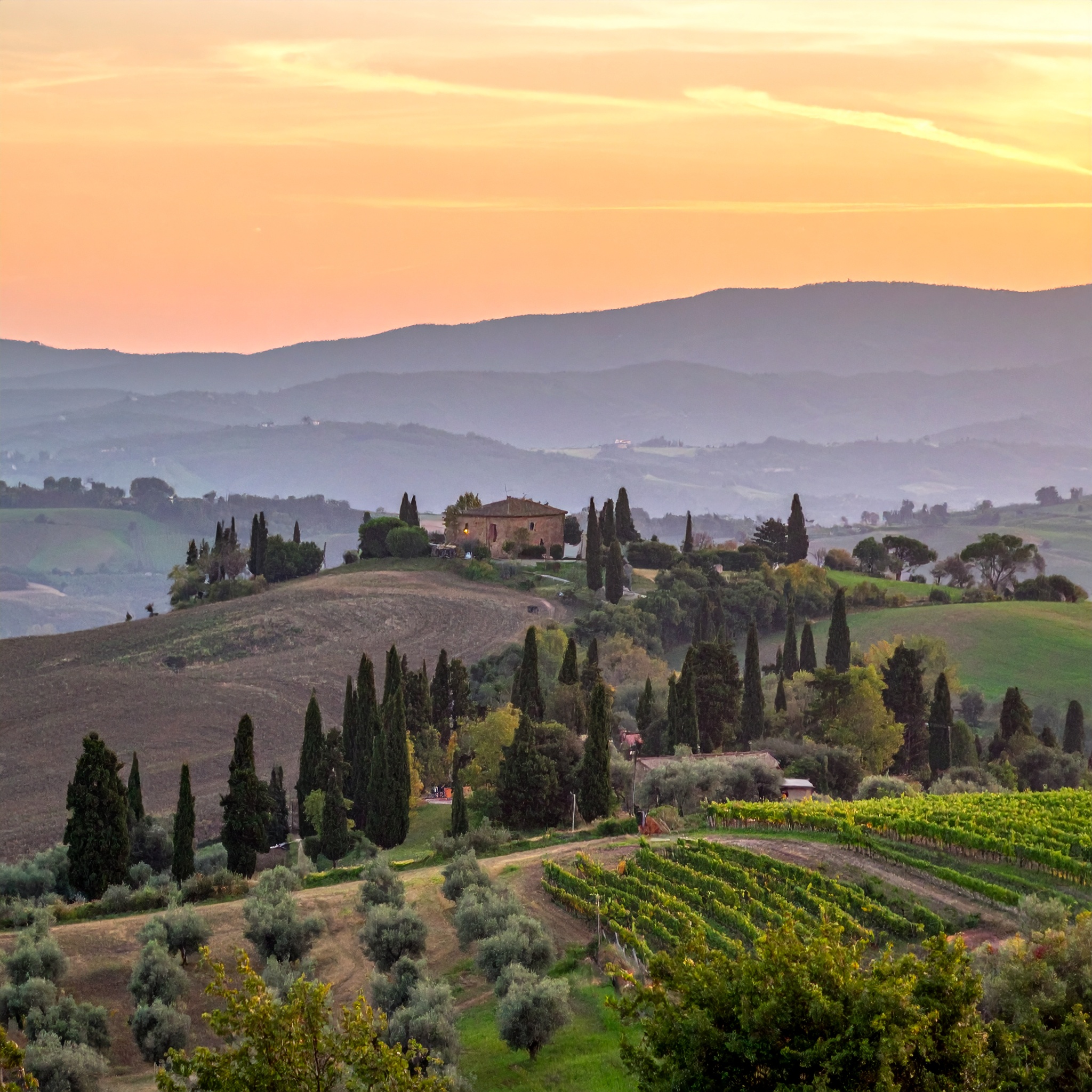 colline toscane